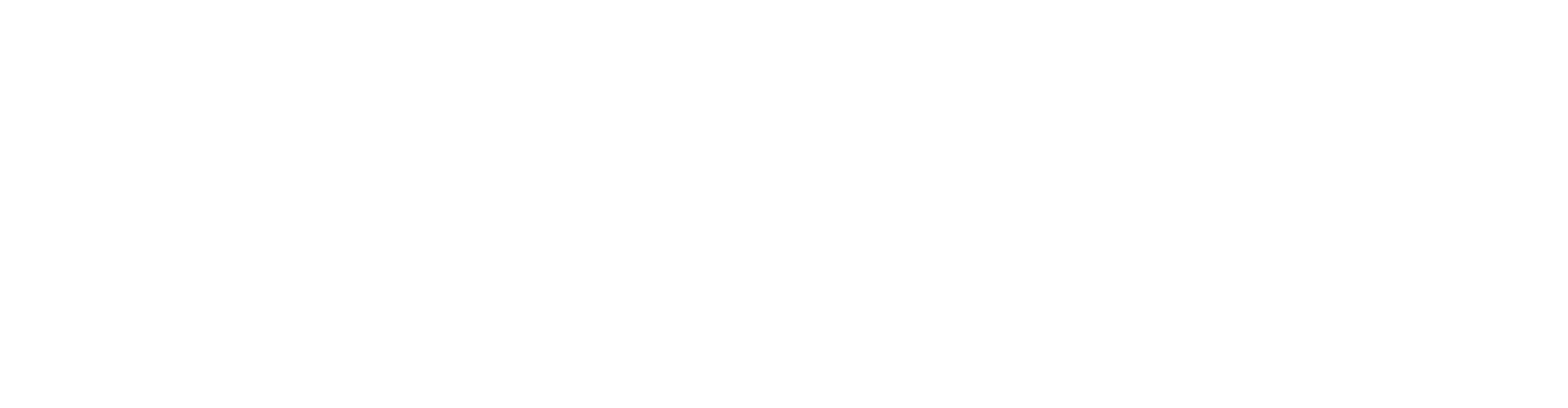 logo magis-calore